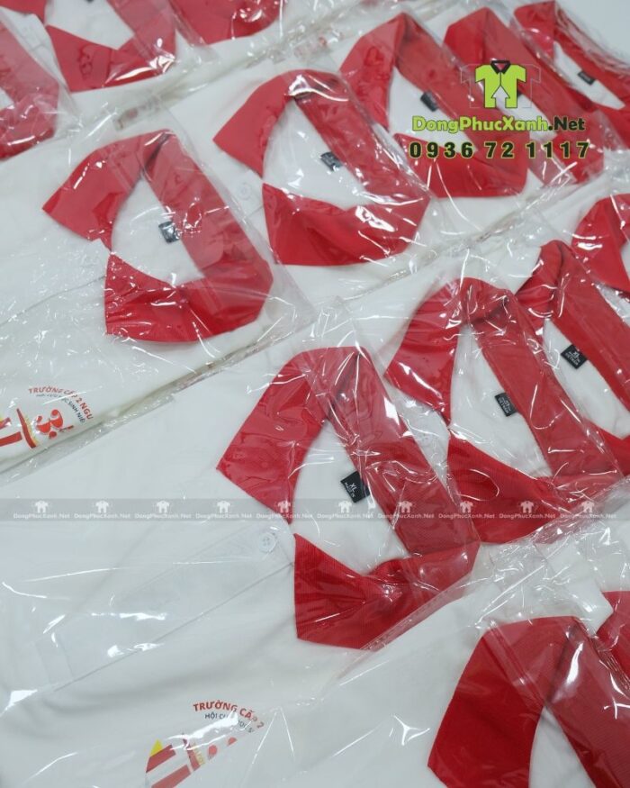 Áo lớp hội cựu học sinh thiết kế thời trang, lịch sự, in logo Trường cấp 2 Nguyễn Du - Tp Huế.