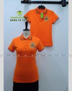 May Áo Thun Đồng Phục Công Ty Đẹp