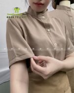 Form Áo Sơ Mi Tiêu Chuẩn Màu Be