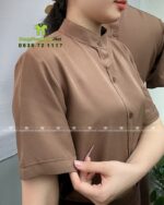 Form Áo Sơ Mi Tiêu Chuẩn Màu Nâu