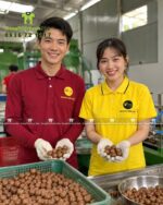 áo thun đồng phục xưởng macca