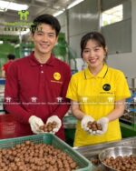 áo vải cá sấu mè